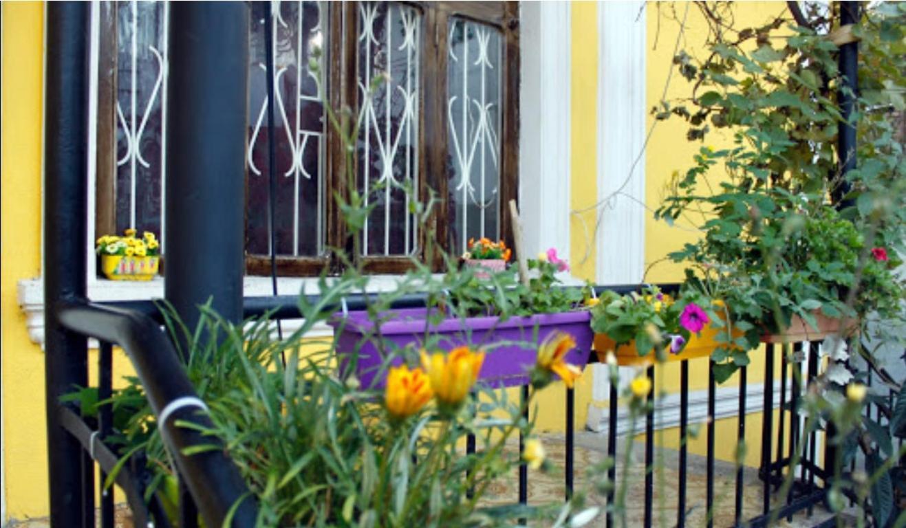 Colors Hostel Tbilisi Bagian luar foto