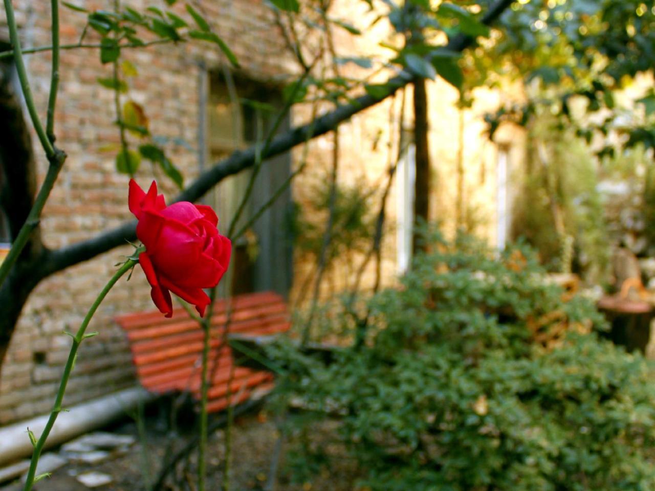 Colors Hostel Tbilisi Bagian luar foto